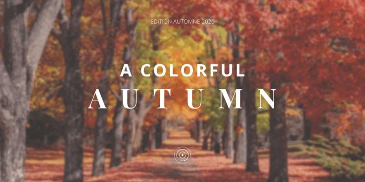 a colorful autumn