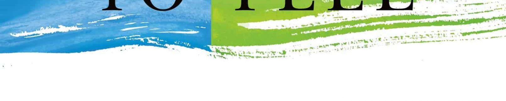 Permission to feel - Book cover