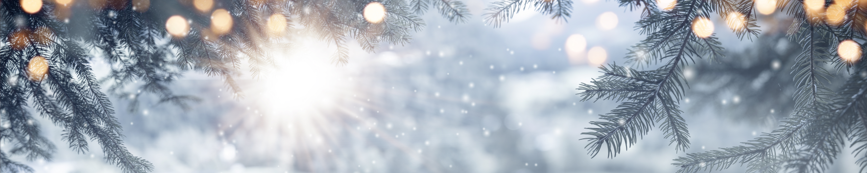 blog-2024-dec-header-20