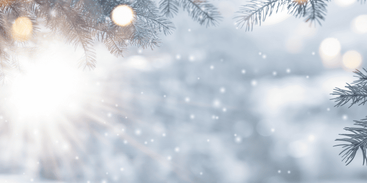 blog-2024-dec-header-20