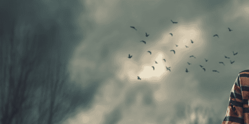 blog_february2025_bg-short-grave